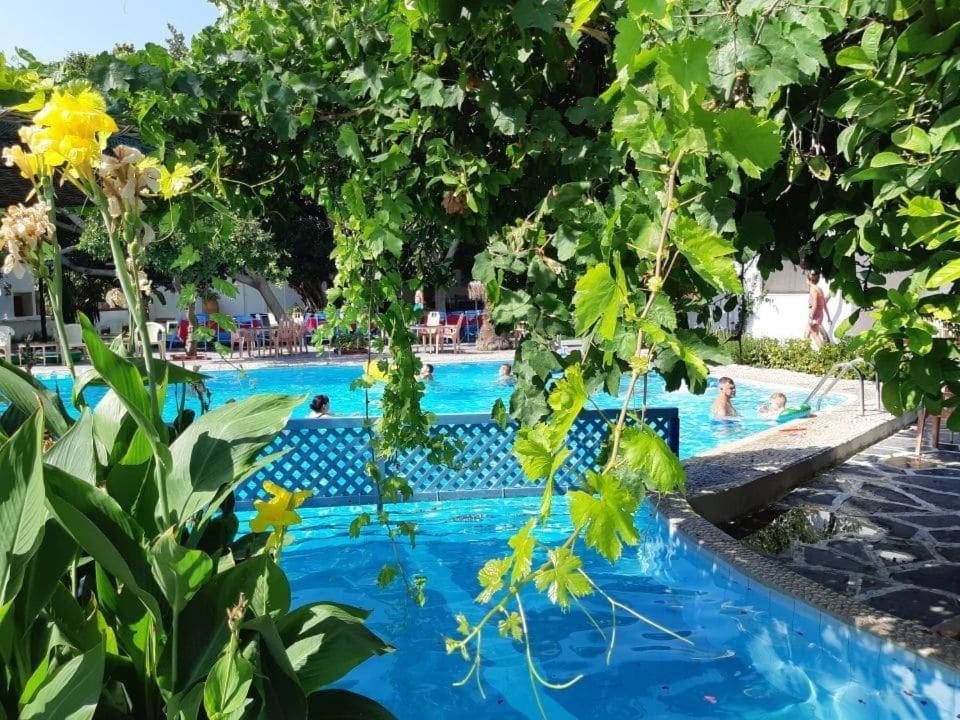 Oasis Hotel Bungalows Rhodes Afantou Exterior photo