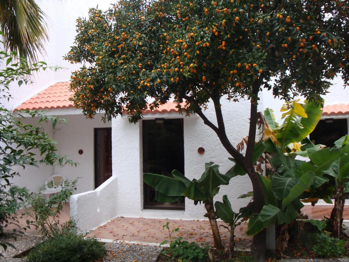 Oasis Hotel Bungalows Rhodes Afantou Exterior photo